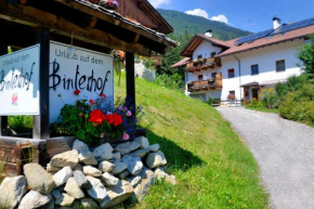 Binterhof Apt Oregano